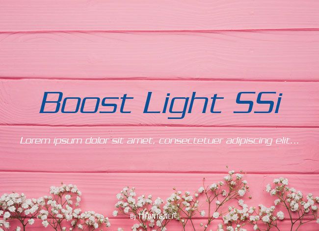 Boost Light SSi example